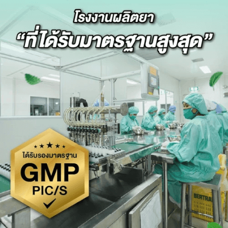 ยาดม เป๊ปเปอร์มิ้นท์ ฟิลด์ กลิ่นออริจินอล ขนาด 2 ซีซี จำนวน 12 ชิ้น_5
